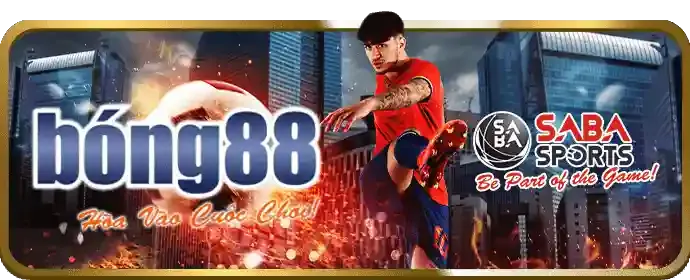Ứng dụng cá cược 999win trên di động